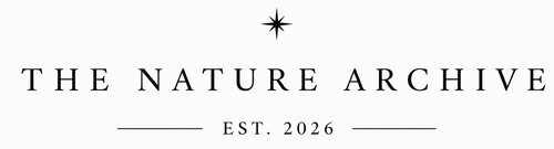 The Nature Archive